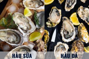 hau-sua-hau-da