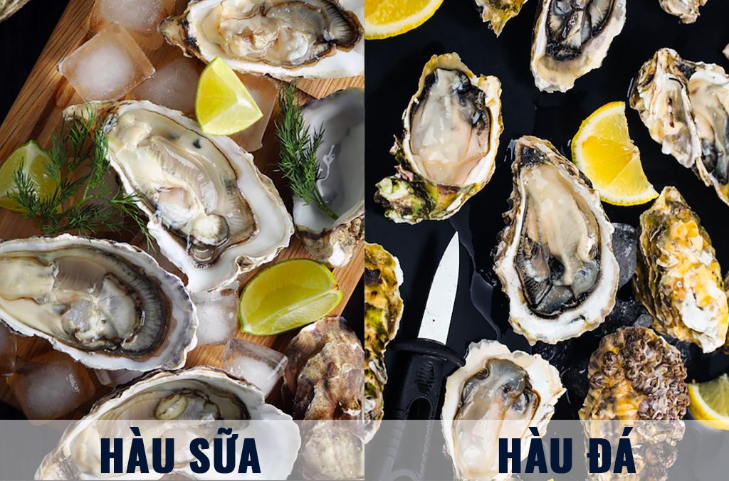 hau-sua-hau-da