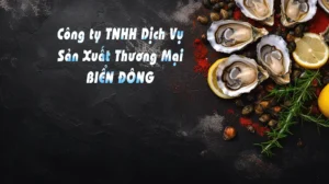HÀU SỮA QUẢNG NINH - HÀU SỮA XUẤT KHẨU