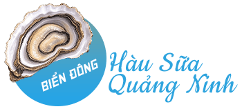 Hàu sữa Quảng Ninh